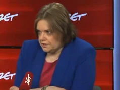 Wiceminister Lewicy uderza w disco polo. Te słowa wywołały burzę