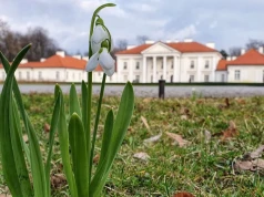 Uniwersytet w Siedlcach na 59. miejscu w Rankingu Uczelni Wyższych Work & Science Forum 2026