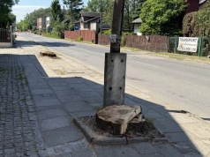 Wycinają drzewa, bo będą kolidować z drogą. Urząd tłumaczy się z wycinki drzew na ul. Szczakowskiej