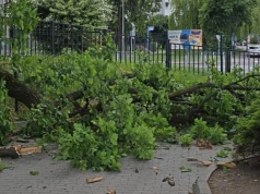 Spadł konar. Setki ludzi tędy przechodzą