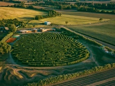 100 tys. wierzb i labirynt w kształcie odcisku palca. Oto nowa atrakcja Słowacji!