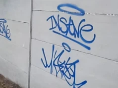 Łobuzy ze sprayami szaleją pod osłoną nocy
