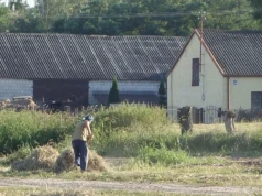 Skosił zboże, trafił do sądu. Jest nowy plan ochrony rolników