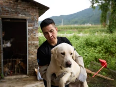 Pierwsza rzeźnia psów w chińskim Yulin została zamknięta. Sukces aktywistów przed dorocznym festiwalem