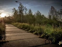 Łatasz ubytki w betonie zwykłą zaprawą? Po pierwszej zimie odpadnie razem z mrozem