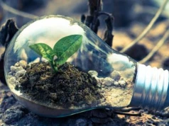Rząd wyznaczył nowy kurs dla energii i klimatu. OZE, atom i miliardy dla polskich firm