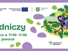 Odkryj przyrodę ze Stowarzyszeniem Aglomeracja Beskidzka - zapraszamy na pikniki pełne atrakcji!