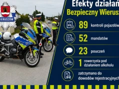Prawie 90 kontroli, ponad 50 mandatów