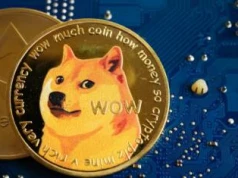 DOGE spada, a jego twórcy mówią wprost: przestań patrzeć na cenę