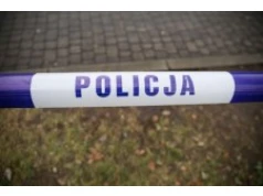 Szczątki płodów zakopane na działce. Co ustalili policjanci?