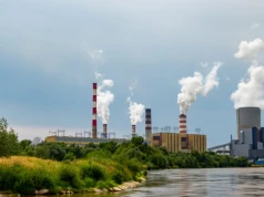 Miliony ryb giną przez elektrownię. Enea odpowiada na zarzuty