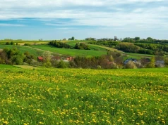 Kraszczady na Lubelszczyźnie. Malownicze tereny w okolicach Krasnegostawu