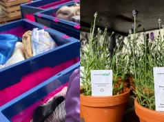 Lawenda w zamian za niepotrzebne ubrania. Udało się zebrać aż 700 kg