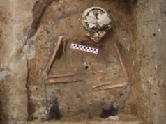 Na cmentarzysku koło Dąbrówna na Mazurach archeolodzy odkryli nietypowy średniowieczny pochówek