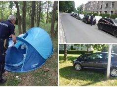 Pogryzione dziecko, amator kwiatów z klombu. Interwencje straży miejskiej