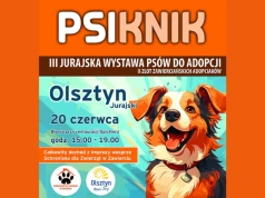 Psiknik wraca do Olsztyna. Będzie można poznać psy do adopcji i wesprzeć schronisko