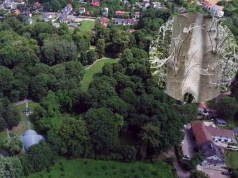 Krakowskie drzewa spowite białą przędzą. Zarząd Zieleni Miejskiej uspokaja: nie ma o co się martwi