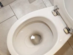 Wsyp do toalety przed wizytą gości. Po 15 minutach zapach jak w hotelu