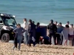 Rekin zaatakował 35-letnią kobietę przy słynnej plaży. Jej stan jest krytyczny