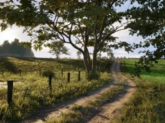 Polski rywal Farming Simulator nabiera kształtów. Realistyczny świat Ultimate Farmer dobrze pokazuje, gdzie sięgają ambicje deweloperów