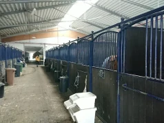 Koń przewrócił się na nastolatkę. Na miejsce wezwano śmigłowiec LPR