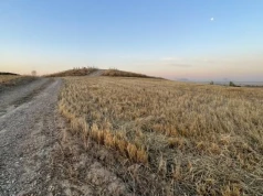 Ruiny sprzed tysięcy lat, ślady wielkiej bitwy i pałacowe dokumenty z Iraku