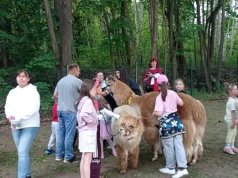 Zabawa połączona z edukacją o zdrowiu psychicznym. II Festyn Rodzinny w szpitalu na Srebrzysku