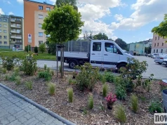 Nowe rabaty w Raciborzu. Mają lepiej znosić suszę i mniej kosztować w utrzymaniu