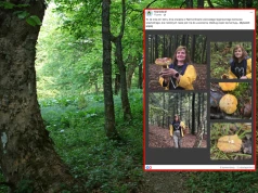 Poszli na grzyby, pokazali, co znaleźli. "Dla niektórych nie do uwierzenia"