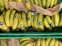 Kryzys kanaryjskiego platana: banan przejmuje rynek w Hiszpanii
