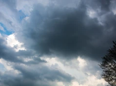 Burze w regionie łódzkim. IMGW ostrzega przed silnym wiatrem i deszczem