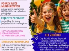 Charytatywny Piknik dla Bartosza Łupińskiego – w Czepielinie będą zbierane środki na leczenie i rehabilitację chłopca