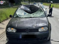 Śmiertelnie potrącił pieszego i uciekł. Jest areszt dla 55-latka