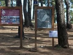 Rząd ukrywa mapy parków? Ekolodzy mówią o „farsie cyfryzacji”