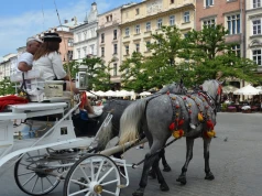 Kraków bez dorożek? Aktywiści ponownie protestowali na Rynku Głównym