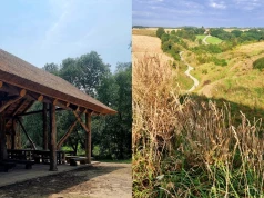 Jadą do Włoch, a taki widok mamy w Polsce. Zachwyca bardziej niż Toskania