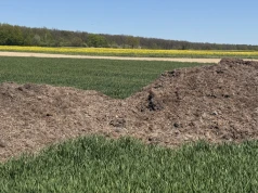 Ile azotu, fosforu i potasu naprawdę dostarczają nawozy naturalne?