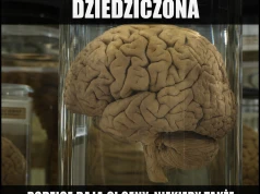 Spadek po rodzinie: sen odinstalowany