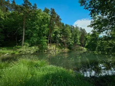Górski klimat w sercu Mazur. Odkryj niezwykły Rezerwat „Źródła Rzeki Łyny”