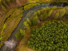 Zielona Tarcza Wschód. „Teren i natura jako sojusznicy wojska”