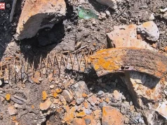 Tłumy poszukiwaczy skarbów nad Jeziorem Pilchowickim