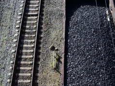 Gra o przyszłość JSW rozstrzygnięta. Spółka ma zielone światło na zbadanie dużego złoża