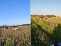 Rozjeżdżali jego pole. Rolnik ruszył za nimi Ursusem i z grabiami