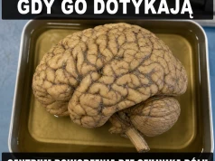 Centrum cierpienia bez własnego BHP