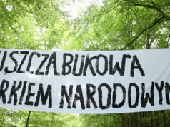 Puszcza Bukowa miała być wolna od pił, ale Lasy Państwowe zmieniły zdanie