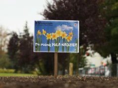 Kielecka Caritas podsumuje kampanię „Pola Nadziei”