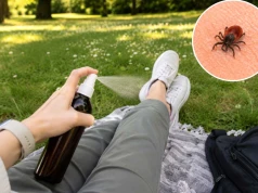 Wypróbuj ten niezawodny spray. Kleszcze będą omijać Cię szerokim łukiem