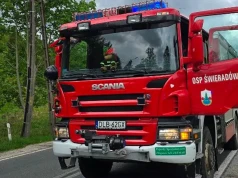 Gaszenie pożarów lasów – ćwiczenia służb
