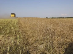 Dzierżawa ziemi po darowiźnie od rodziców. Czy potrzebna jest zgoda KOWR?