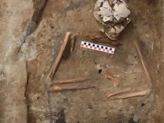 Z nożem pod szyją. Bardzo nietypowy pochówek spod Dąbrówna